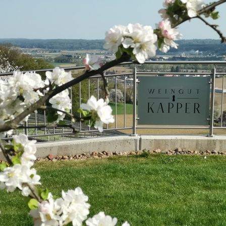 Ein Schild für Weingut Kapper steht auf einem Metallgeländer und überblickt eine grüne Landschaft mit Bäumen und einem klaren blauen Himmel.