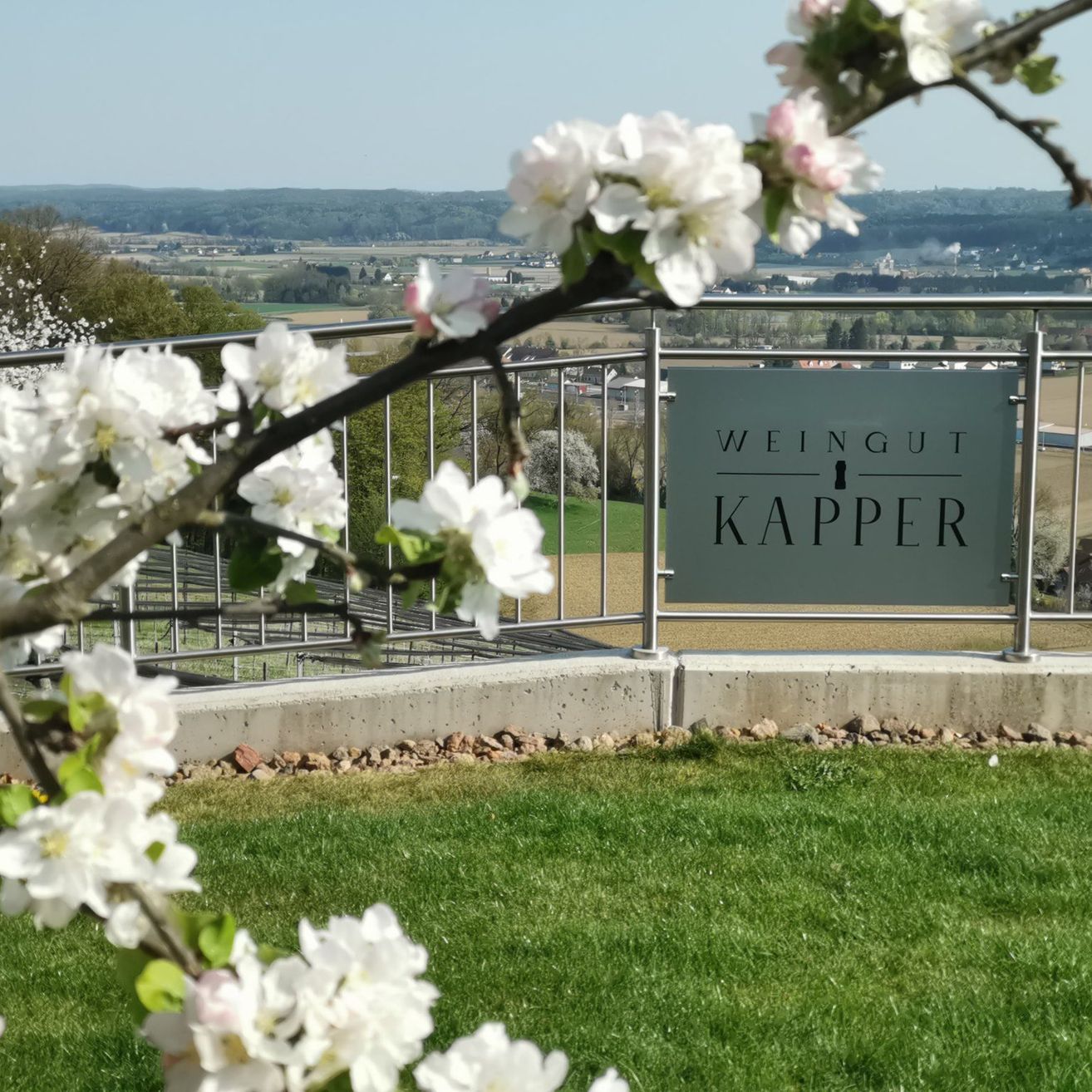 Ein Schild für Weingut Kapper steht auf einem Metallgeländer und überblickt eine grüne Landschaft mit Bäumen und einem klaren blauen Himmel.