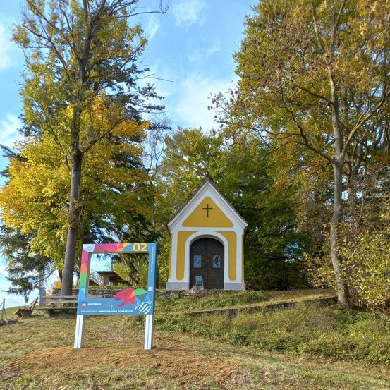 Bild enthält, Grass, Outdoors, Park, Shelter, Sycamore, Tree, Vegetation, Woodland, Scenery, Gothic Arch