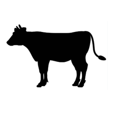 GEFAT's Hofladen Familie Schellander-Logo