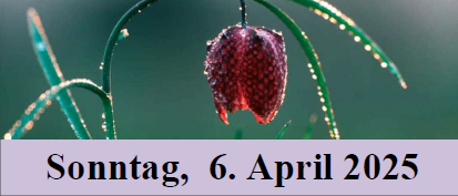 Bild enthält, Advertisement, Poster, Plant, Food, Fruit, Produce