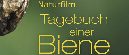 A poster for a nature film titled 'Diary of a Bee' with a green background and a close-up of a bee's head.