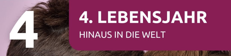 Ein Poster mit der Nummer 4 auf einem lila Hintergrund. Der Text lautet '4. Lebensjahr' und 'Hinaus in die Welt'.