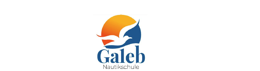 Galeb logo with a bird flying over the sea and a sun behind it, in blue and orange colors.