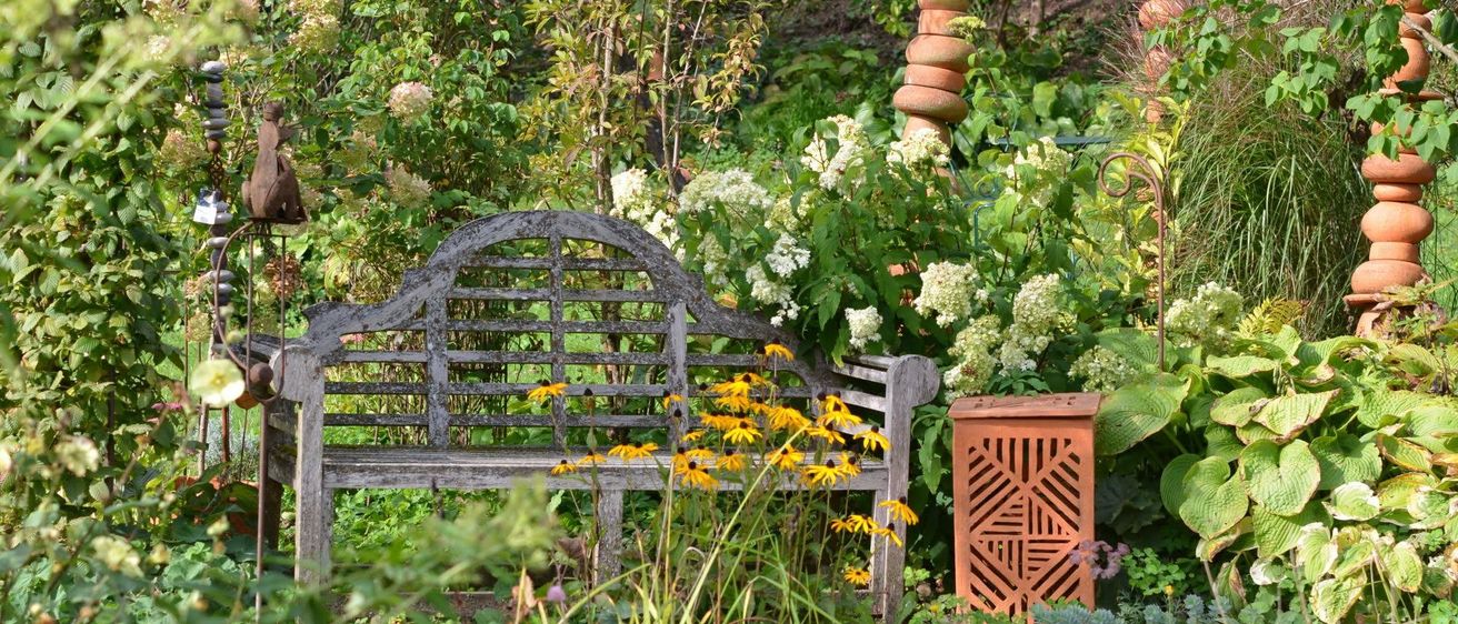 Eine verwitterte Holzbank umgeben von leuchtend gelben Blumen und üppigem Grün in einem Garten.