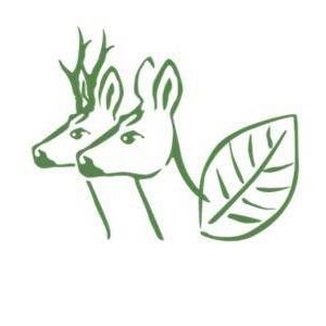 v1_migrated_image_7376276