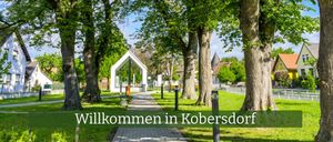 Bild enthält, Neighborhood, Grass, Nature, Outdoors, Park, City, Tree, Scenery, Vegetation, Lawn