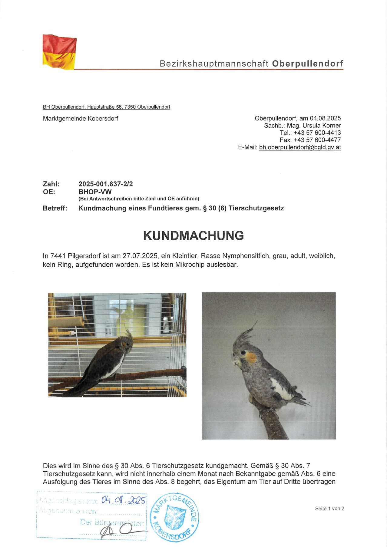 Dokument aus Oberpullendorf vom 04.08.2025, ausgestellt von Ursula Korner. Kontaktdaten angegeben. Rechnungsnummer 2025-001.637-2/1, Referenznummer BHOP-VW. Betreff: Kauf eines Vogels, mit Details und Bildern des Vogels.