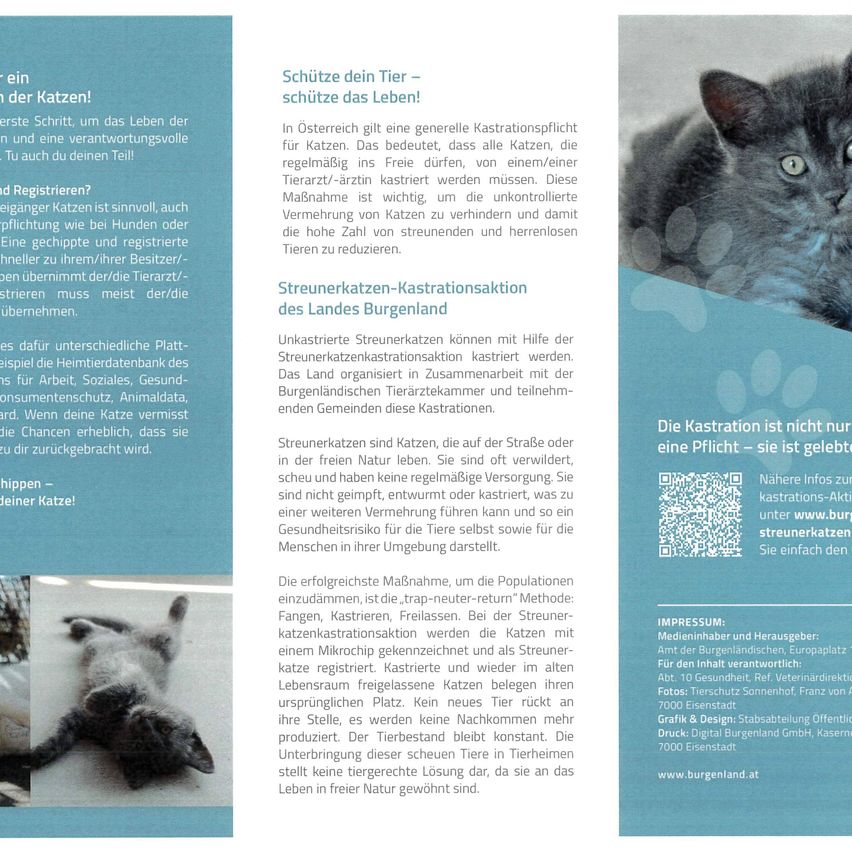 In Österreich gilt eine generelle Kastrationspflicht für Katzen. Das bedeutet, dass alle Katzen, die regelmäßig ins Freie dürfen, von einem/einer Tierarzt/-ärztin kastriert werden müssen. Diese Maßnahme ist wichtig, um die unkontrollierte Vermehrung von Katzen zu verhindern und damit die hohe Zahl von streunenden und herumirrenden Tieren zu reduzieren.