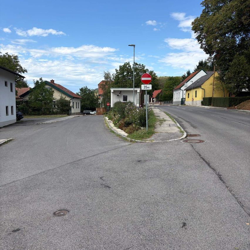 Eine leere Straße mit einem Geschwindigkeitsbegrenzungsschild und einem kleinen Garten an der Ecke. Der Himmel ist blau mit einigen Wolken.