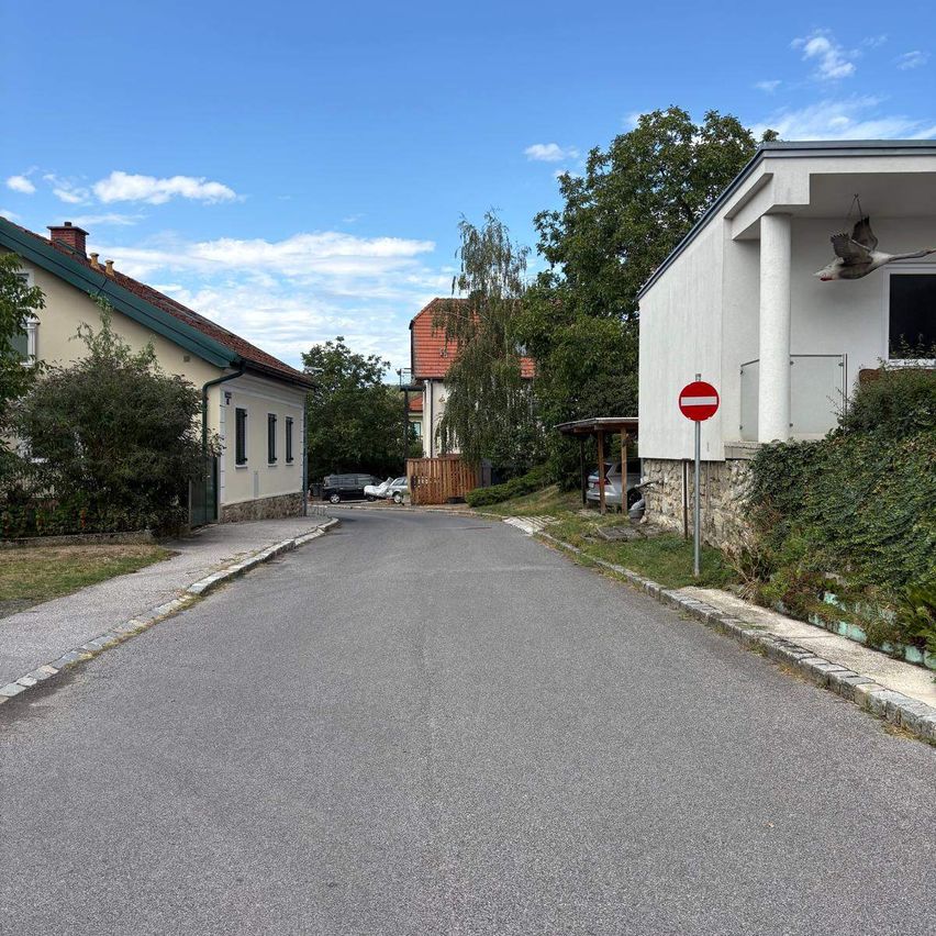 Eine ruhige Straße mit einem Einfahrtsverbotsschild auf der rechten Seite. Links ein Haus mit grünem Dach und Schornstein. Bäume und Büsche säumen die Straße.