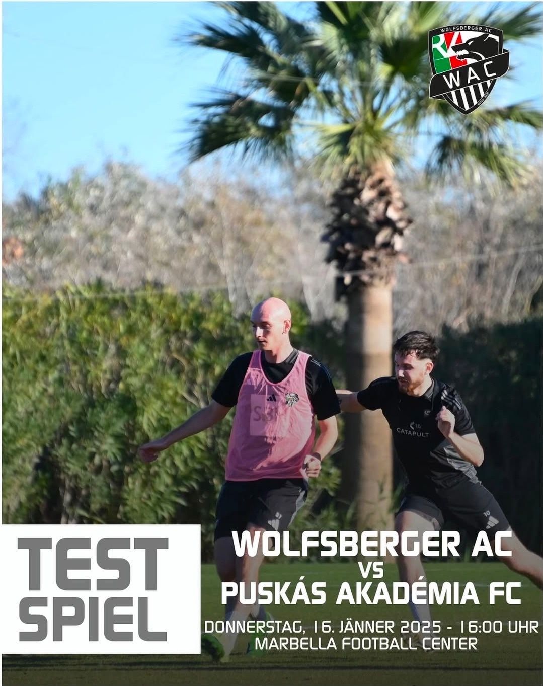 Bild enthält, T-Shirt, Shorts, Person, Grass, Boy, Male, Teen, Tree, Advertisement, People