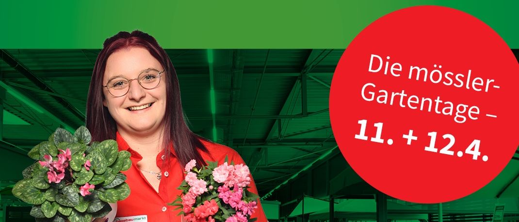 Flower, Flower Arrangement, Flower Bouquet, Advertisement, Poster, Graphics, Adult, Female, Person, Woman