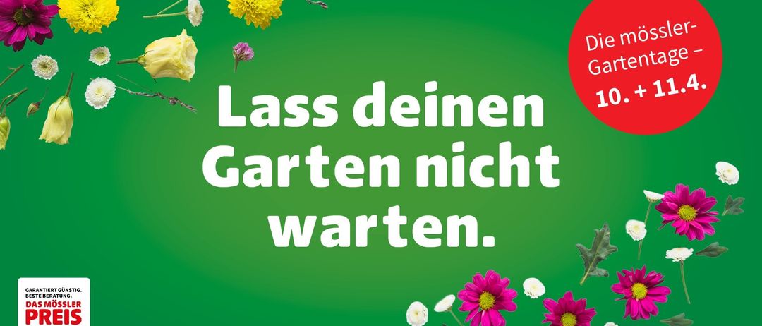 Ein grüner Hintergrund mit verstreuten Blumen, ein deutscher Satz, der 'Lass deinen Garten nicht warten.' in weißen Buchstaben besagt.