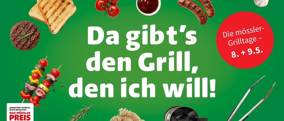 Eine Werbung für einen Grill mit Text auf Deutsch, mit getoastetem Brot, einer Schüssel Ketchup, Würsten und einem Bündel Holz. Der Text lautet: Das ist der Grill, den ich will!