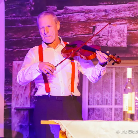 Musical Instrument, Violin, Adult, Male, Man, Person, Face, Head