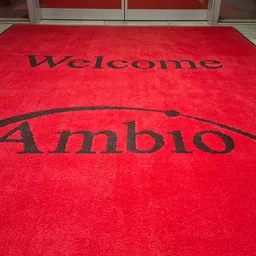 Fashion, Premiere, Red Carpet, Home Decor, Rug