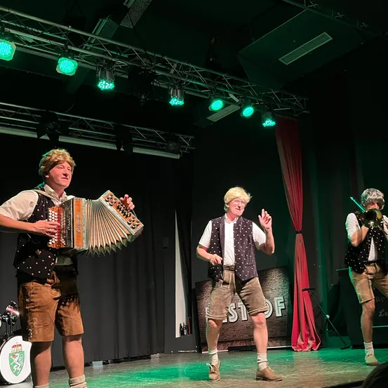 Adult, Male, Man, Person, Group Performance, Stage, Musical Instrument, Performer, Singing, Shorts