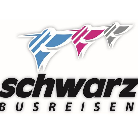 Bild enthält, Logo, Person, Dynamite, Weapon