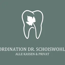 Ein Logo für Koordination Dr. Schoiswohl, das einen stilisierten Zahn mit einem Blatt darin zeigt. Unten steht der Text 'ALLE KASSEN & PRIVAT'.