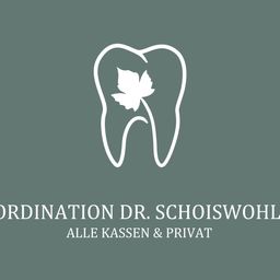 Ein Logo für Koordination Dr. Schoiswohl, das einen stilisierten Zahn mit einem Blatt darin zeigt. Unten steht der Text 'ALLE KASSEN & PRIVAT'.