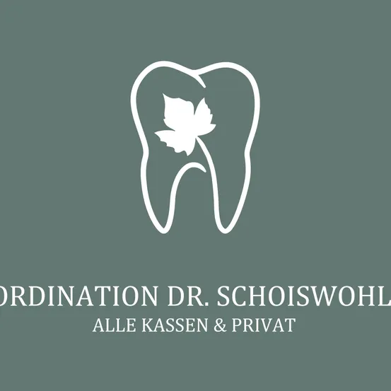 Ein Logo für Koordination Dr. Schoiswohl, das einen stilisierten Zahn mit einem Blatt darin zeigt. Unten steht der Text 'ALLE KASSEN & PRIVAT'.