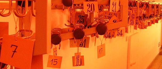 Ein Flur mit nummerierten Etiketten, die an Haken an einer orangefarbenen Wand hängen, die Zahlen reichen von 1 bis 59.