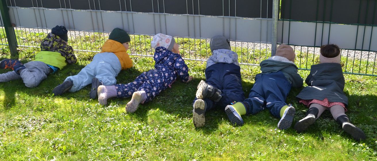 Fünf Kinder liegen auf dem Gras vor einem Zaun. Sie scheinen etwas über den Zaun zu betrachten.