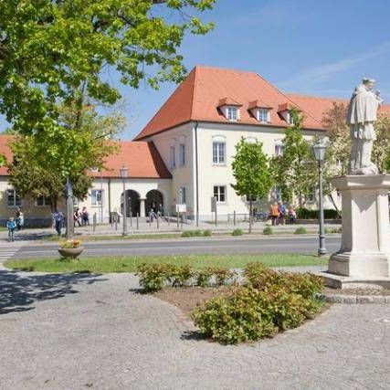 v1_migrated_image_11779951