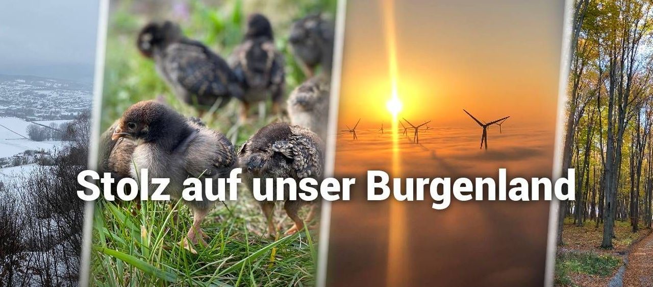 v1_migrated_image_40505926