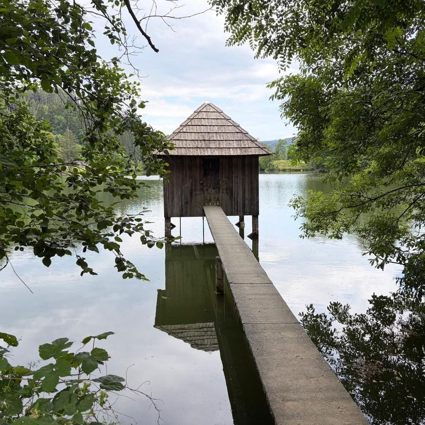 A wooden shed with a slanted roof stands on stilts over a lake, surrounded by trees with green leaves.