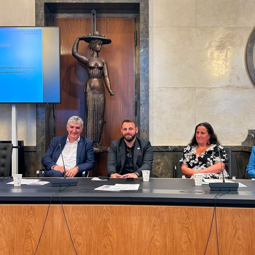 Drei Personen sitzen an einem Konferenztisch mit einem Bildschirm dahinter. Ein Mann hat ein Mikrofon. Eine Statue ist im Hintergrund.