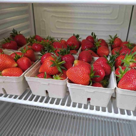 v1_migrated_image_51486288