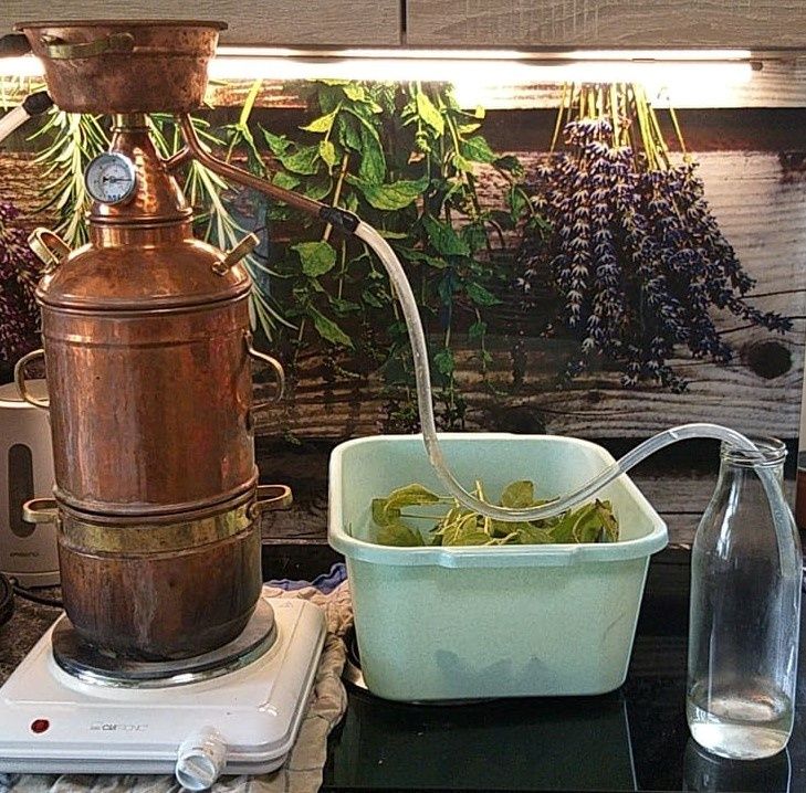 Ein Kupferdestillator mit angeschlossenem Schlauch steht auf einem Herd. Daneben befindet sich eine Glasflasche, ein grüner Behälter mit Kräutern und ein weißer Behälter.