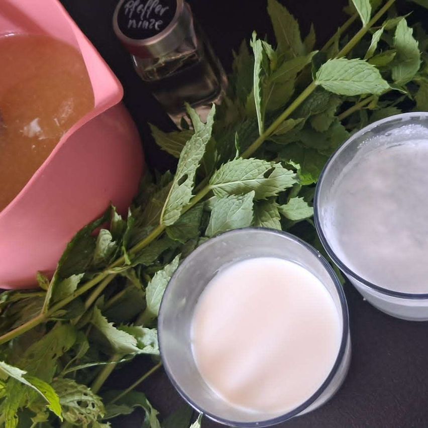 Zwei Gläser Milch und ein Krug mit brauner Flüssigkeit stehen neben einem Gewürzglas und Minzblättern auf einem Tisch.