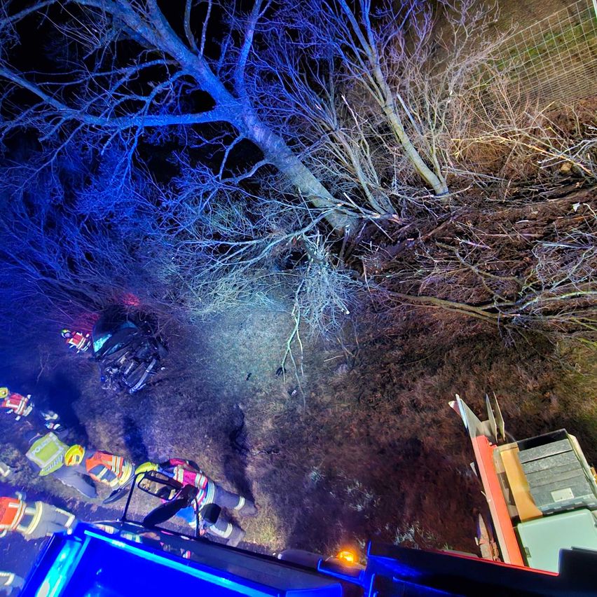 Bild enthält, Lighting, Nature, Night, Outdoors, Urban, Tree, Person, City, Road, Light