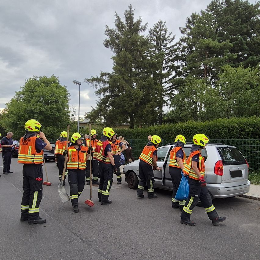 Eine Gruppe von Feuerwehrleuten in reflektierenden Westen und Helmen geht neben einem silbernen Auto. Einige von ihnen halten Reinigungswerkzeuge und tragen einen blauen Beutel. Dahinter ist ein weiteres Auto geparkt. Bäume und ein Zaun umgeben das Gebiet.
