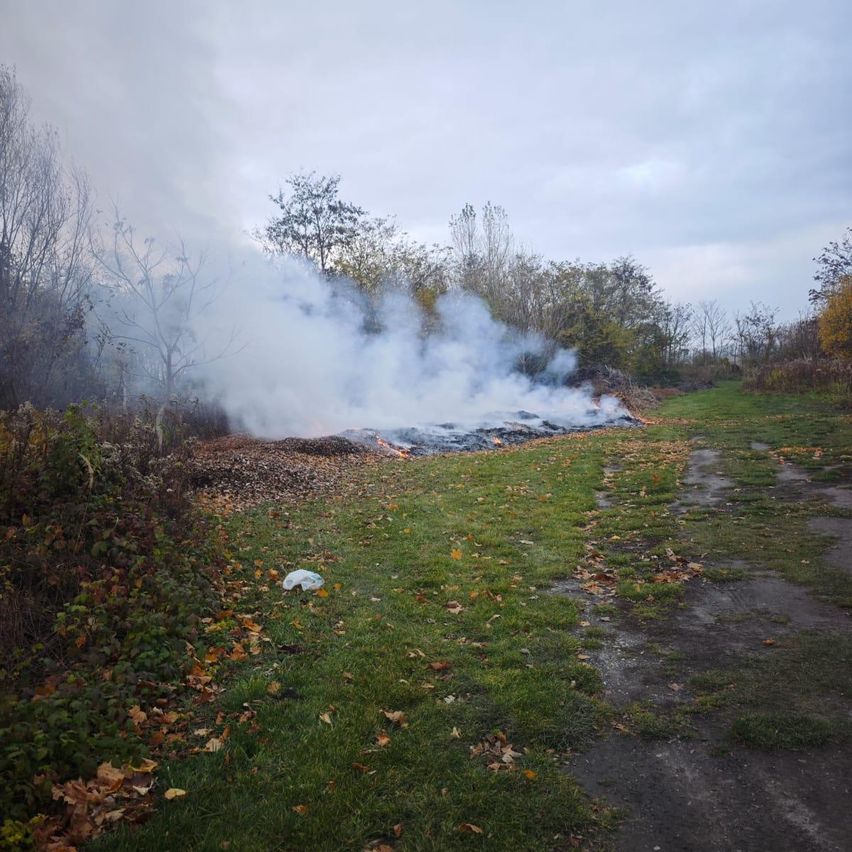 Ein Feld mit Gras und Bäumen, ein Teil brennt und produziert Rauch. Der Himmel ist bewölkt.