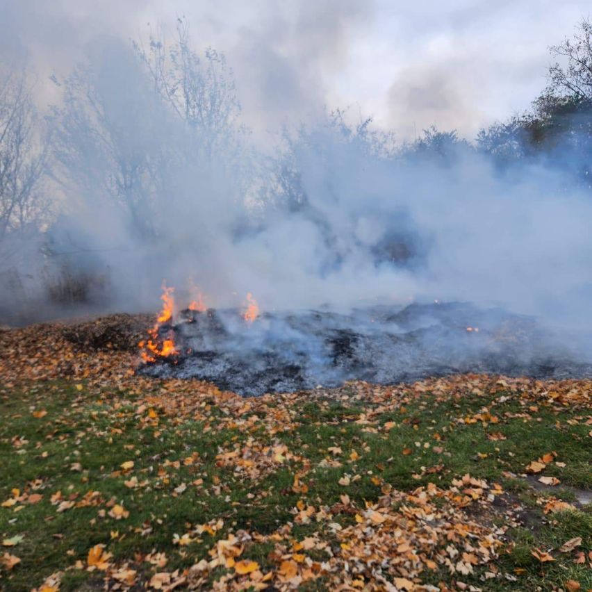 Ein Feuer brennt durch Laub und Schutt auf einem Grasfeld, umgeben von Bäumen mit bewölktem Himmel darüber.