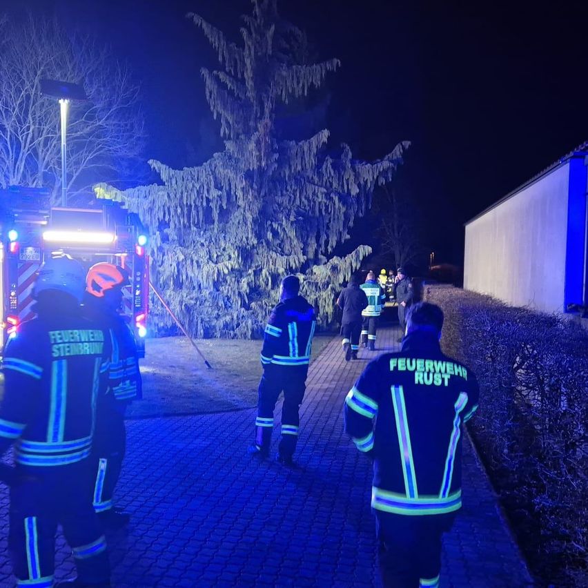 Feuerwehrleute in blauen Uniformen sind in einer nächtlichen Szene mit blinkenden Lichtern auf einem Feuerwehrwagen versammelt. Hinter ihnen steht ein großer, schneebedeckter Baum.