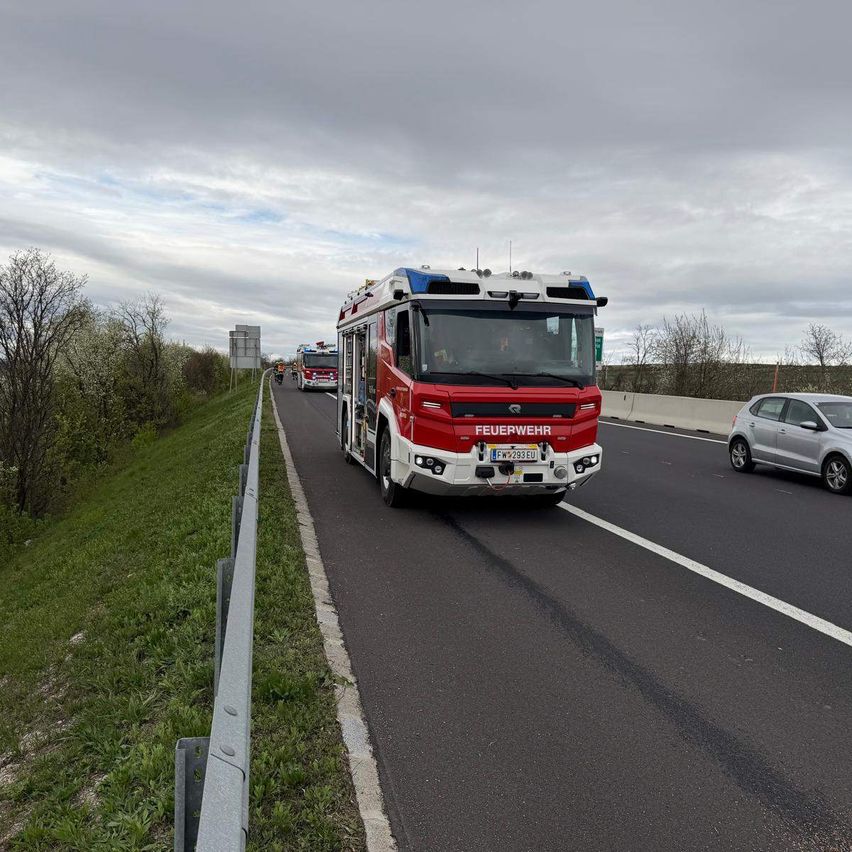 Ein roter Feuerwehrwagen fährt auf einer Autobahn. Ein silbernes Auto folgt ihm. Die Straße wird von grünem Gras und Bäumen gesäumt.