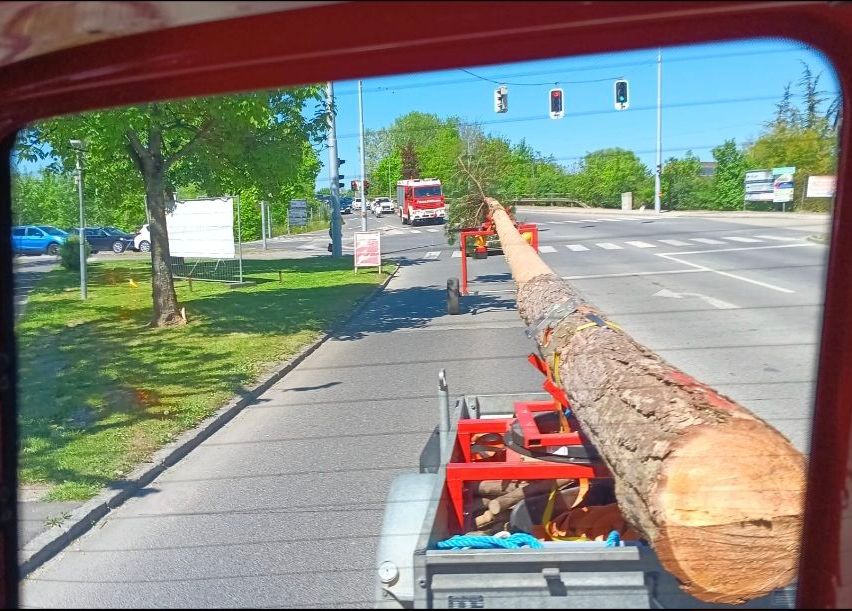 Ein Baumstamm wird auf einem LKW mit einem roten Anhänger transportiert. Der Baumstamm ist mit Gurten gesichert. Verkehrsampeln befinden sich rechts. Ein Feuerwehrauto ist in der Ferne.