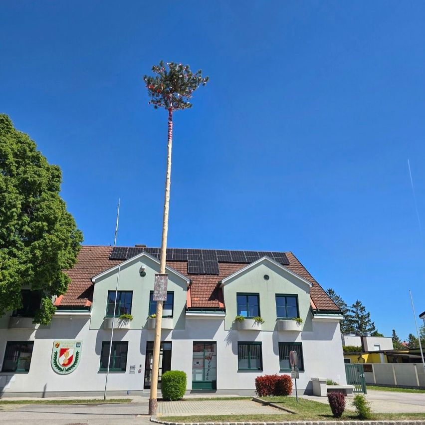 Ein weißes Haus mit Solarpanelen auf dem Dach steht unter einem blauen Himmel. Es verfügt über einen dekorativen Baumstamm und einen kleinen Garten.