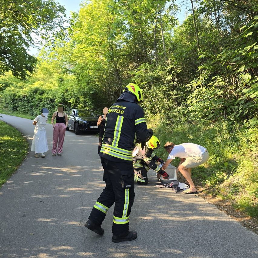 Feuerwehrleute helfen einem Mann auf einem Waldweg. Eine Frau in der Nähe hilft. Ein Auto ist am Straßenrand geparkt.