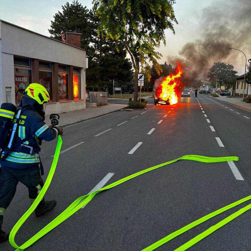 Ein Feuerwehrmann bekämpft ein Autofeuer auf einer Straße, mit einem Gebäude und Bäumen im Hintergrund.