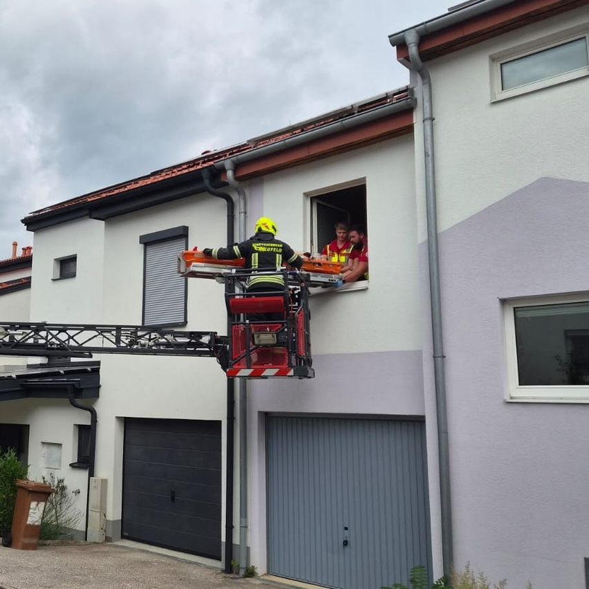 Feuerwehrleute retten Menschen aus einem Haus mit einer Leiter. Sie befinden sich im zweiten Stock, und das Haus hat ein rotes Dach.