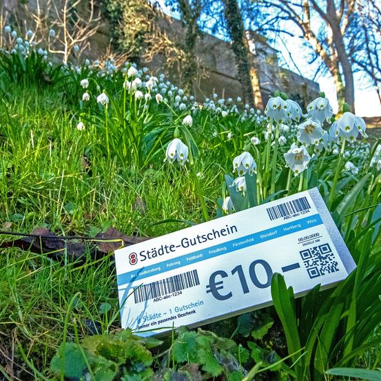 Bild enthält, Herbal, Herbs, Grass, Vegetation, Soil, Green, Daisy, Tree, Leaf, Text