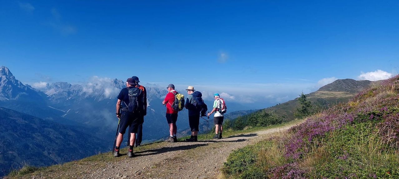 Five hikers on a trail in the mountains. They are equipped with backpacks and trekking poles, enjoying a clear day.