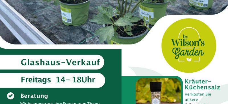 Das Bild zeigt einen Gewächshausverkauf mit Kräutern und Pflanzen. Der Verkauf findet freitags von 14-18 Uhr statt. Beratung, Pflege und Anwendungstipps für Kräuter werden angeboten.