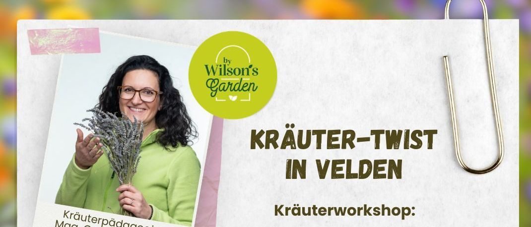 Werbeplakat für einen Kräuterworkshop von Cornelia Wilson bei Wilson's Garden, geplant für den 1. August 2026, von 16 bis 19 Uhr, in Velden. Kosten sind 25 Euro pro Person, inklusive Kräuterprodukte. Kontakt zur Anmeldung: Daniela Vratanar.